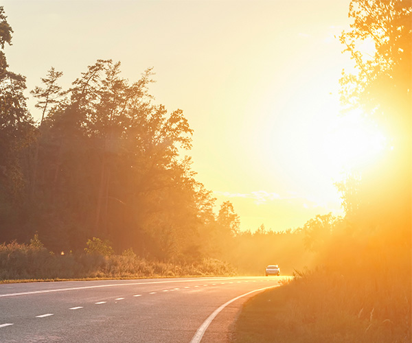 Lav sol skaber problemer på vejene – hvad kan du gøre?